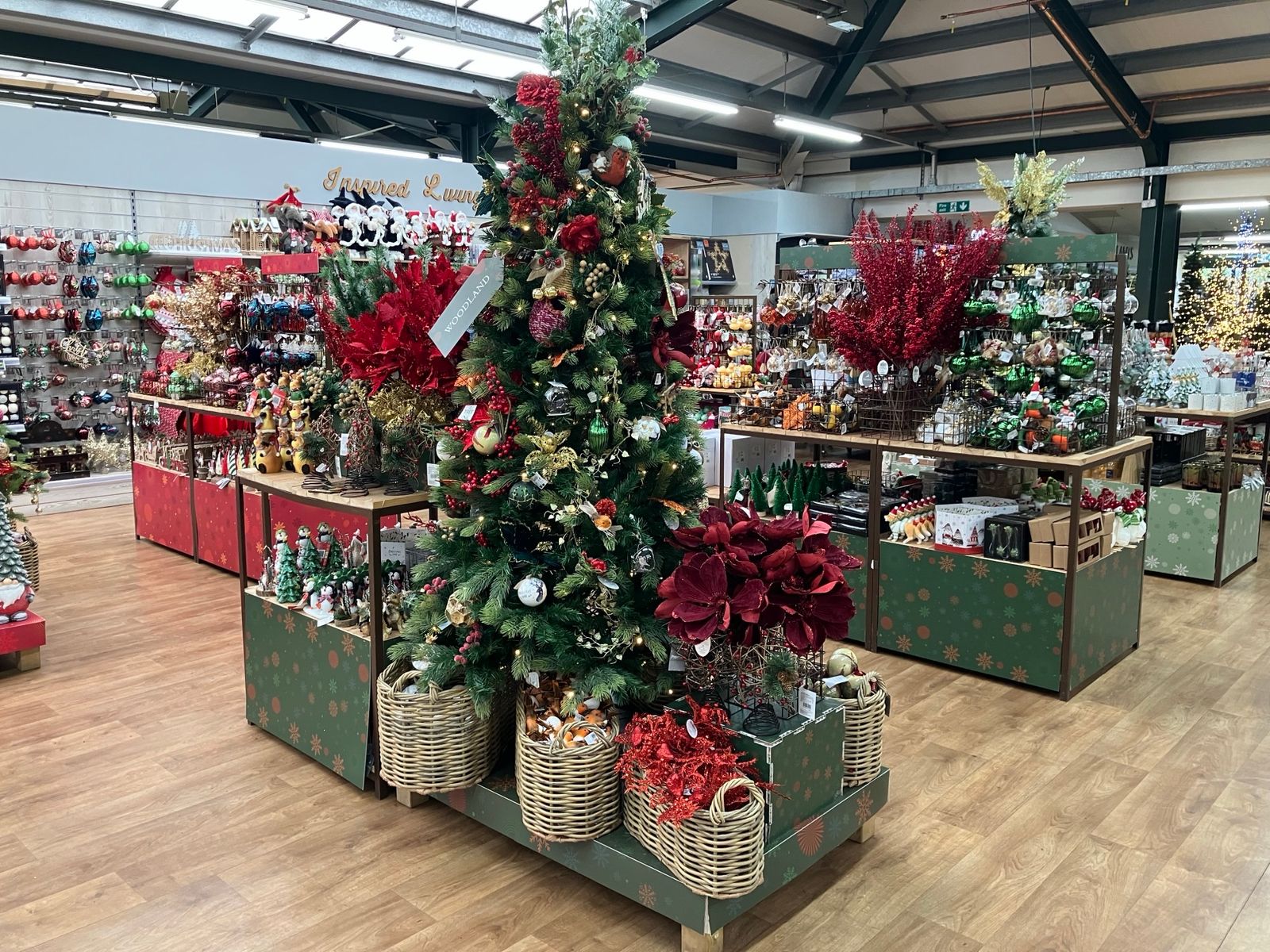 Hillier Garden Centres and Nurseries - Christmas 2024