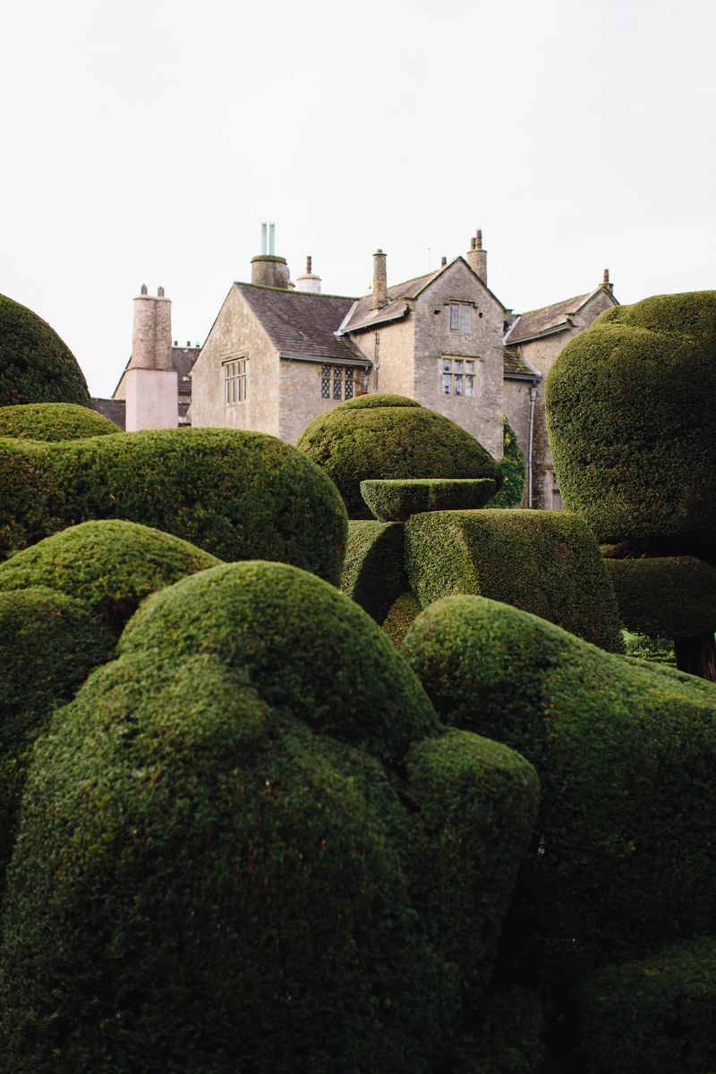 Topiary at Levens Hall and Gardens