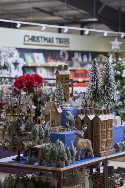 Hillier Garden Centres and Nurseries at Christmas