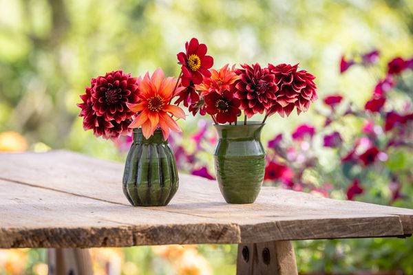 Frida Studio Vase