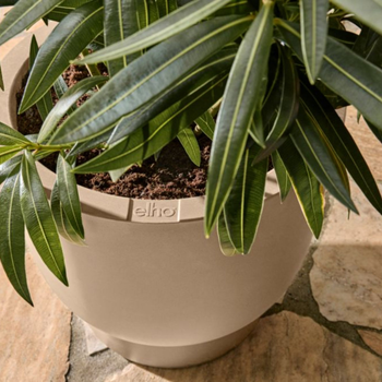 Charles Bentley partners with sustainable plant pot innovator elho to stock premium collection 