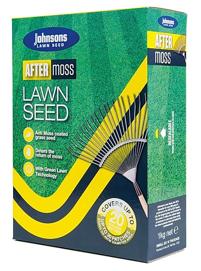 After Moss Lawn Seed.jpg