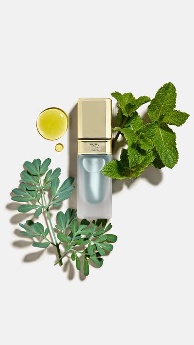 Mint Oil Lip Plumper