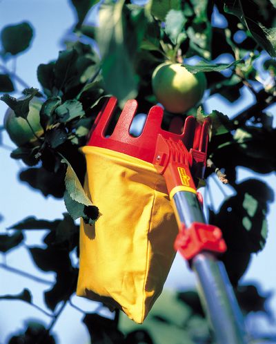 WOLF-Garten Multi-change Adjustable Fruit Picker