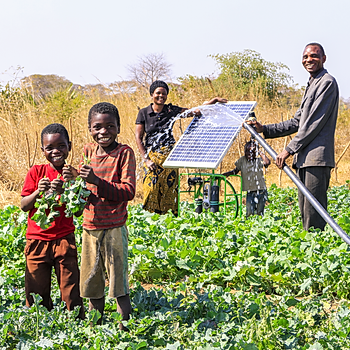 Farmers using a solar powered Futurepump to irrigate crops in Zambia