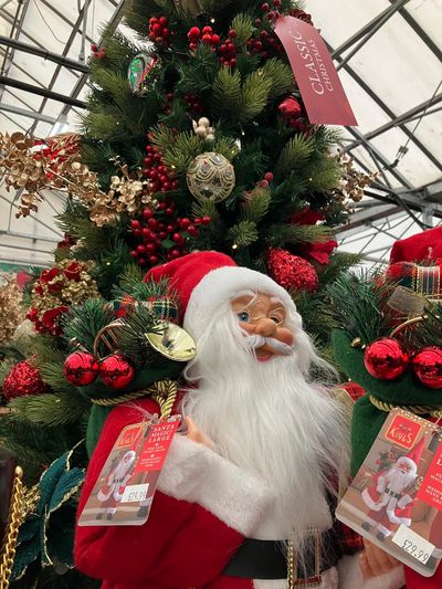 Hillier Garden Centres and Nurseries - Christmas 2024