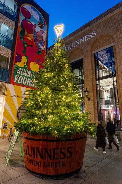 PinPep_TheYardsXmasLights_SJ_001.JPG