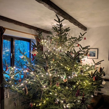 Xmas tree.jpeg