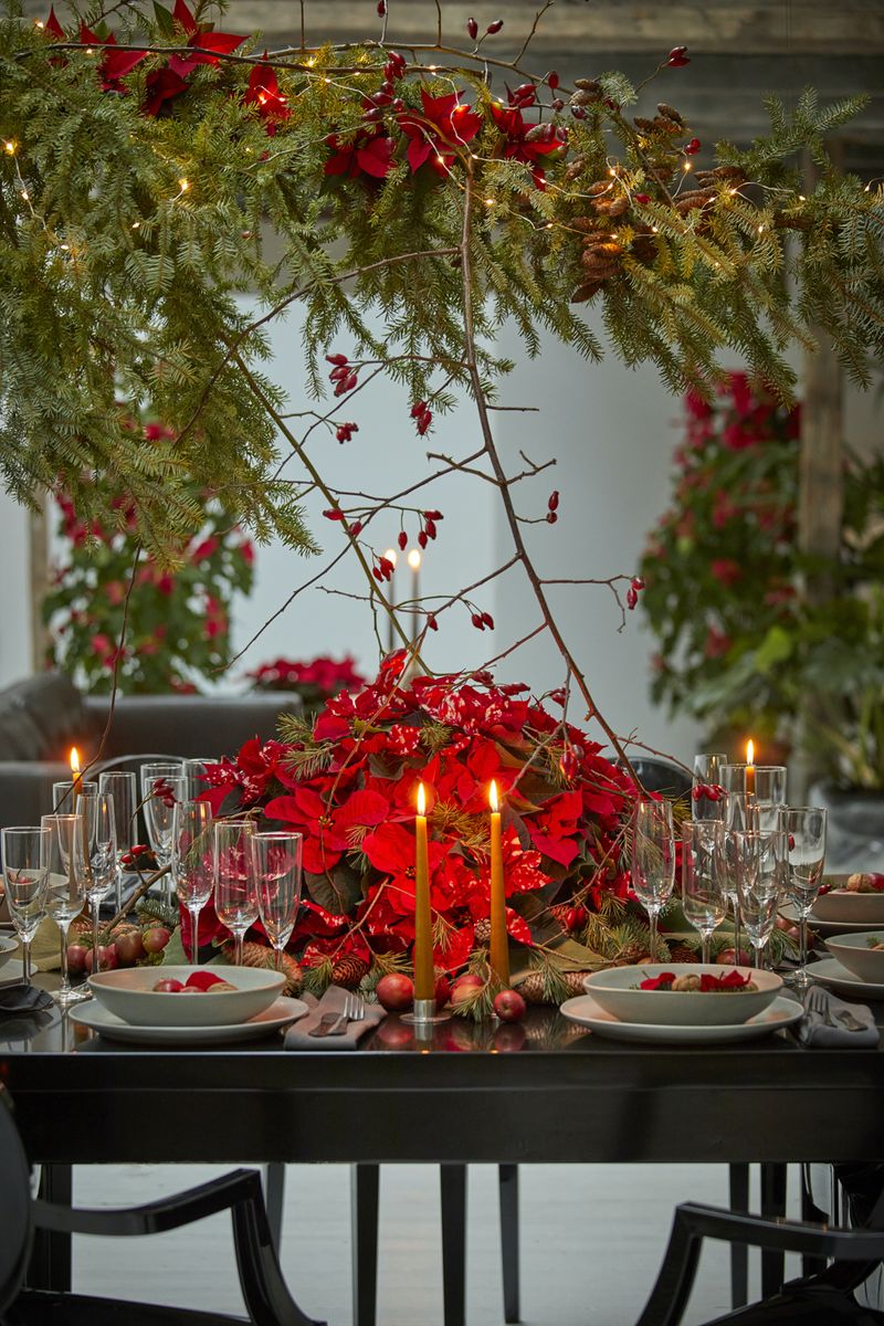 2022_poinsettia_02000_Urban_Loft_Christmas_36.jpg