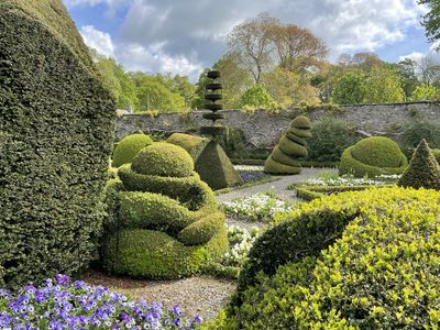 One part of the world's oldest topiary garden at Levens Hall and Gardens, Cumbria