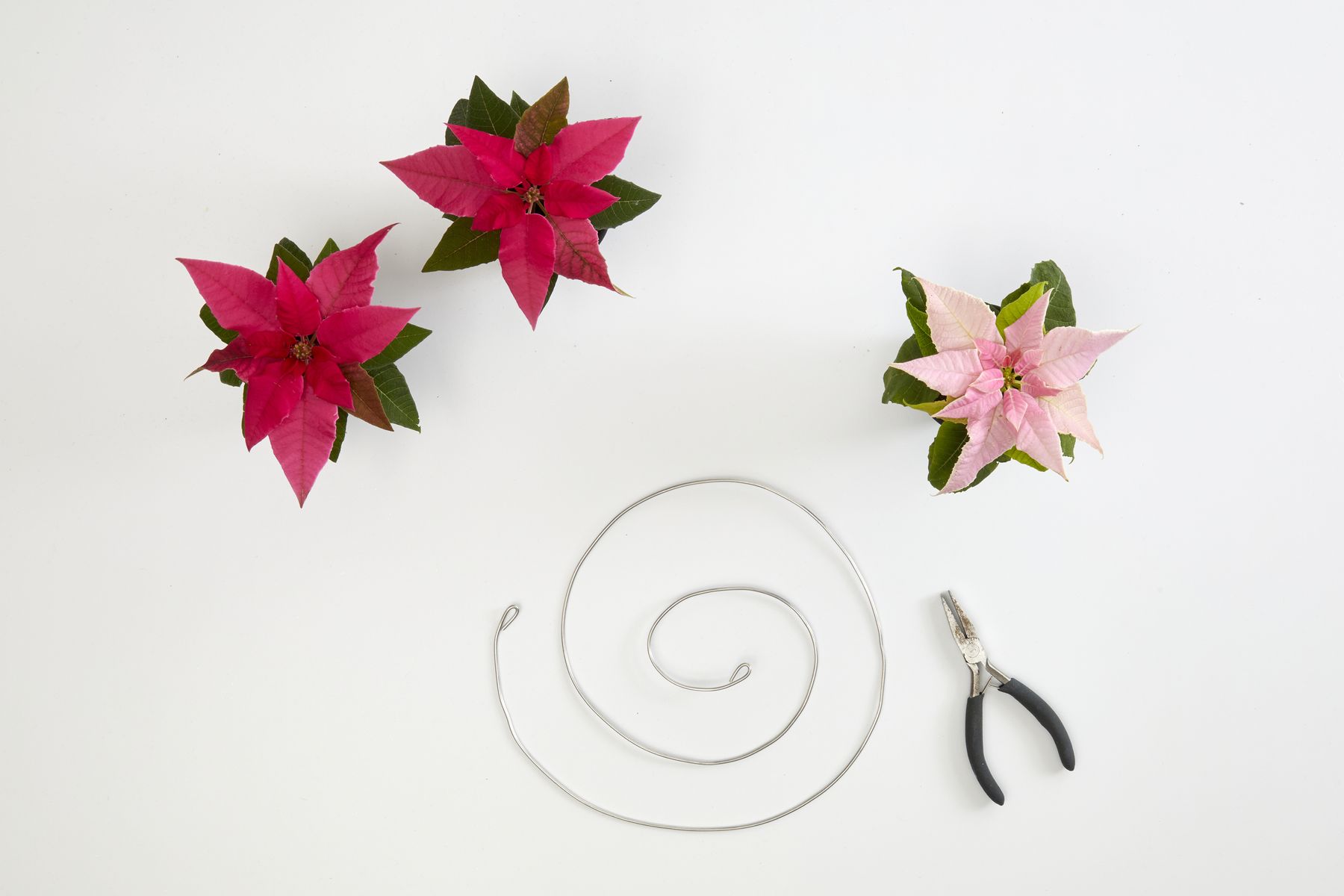 2022_poinsettia_04130_DIY_Floating_Wire_Christmas_Tree_03.jpg