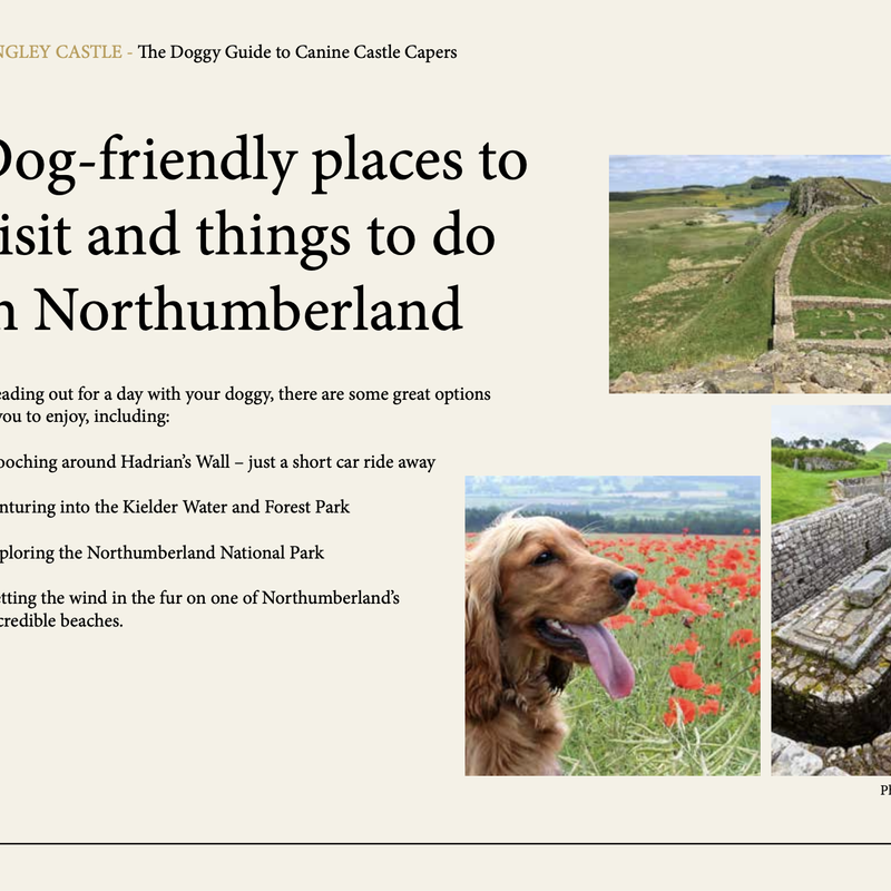 One of the pages in the Langley Castle 'Doggy Guide to Canine Castle Capers',