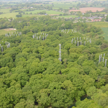 Pic 1 - The BIFoR FACE experiment facility located in a Staffordshire Woodland (Image credit University of Birmingham).JPG