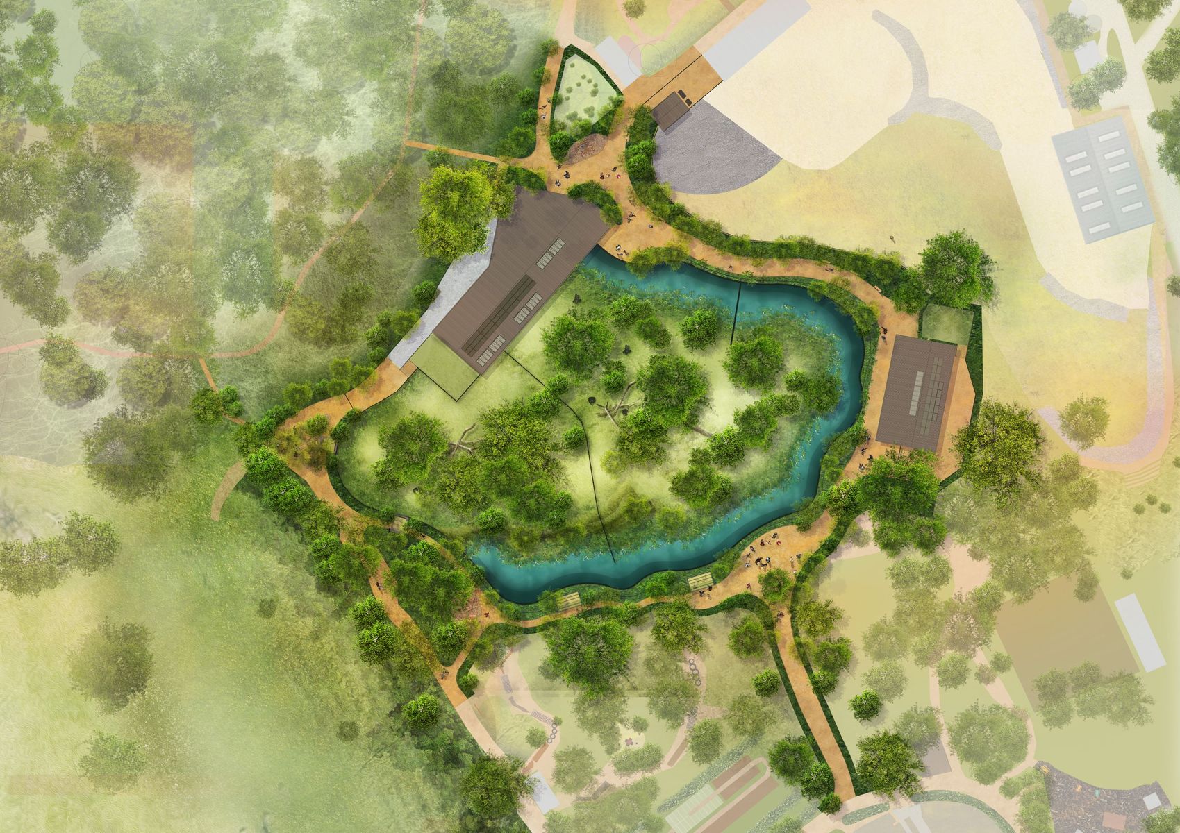 GA African Forest Illustrative Plan - web.jpg