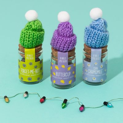 Wildflower Jars