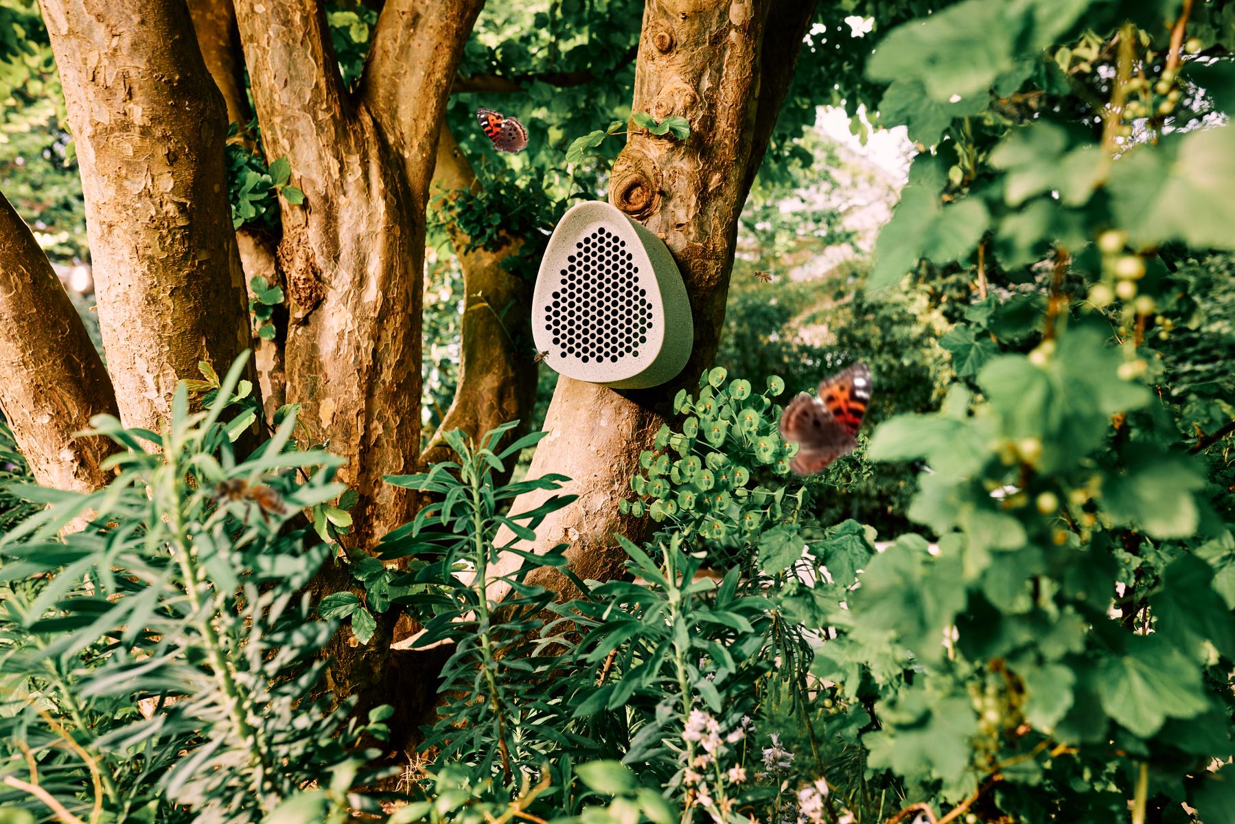 B's essential bug house