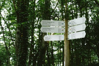 Lee-Trail-Day-2-JDJ27-©Jochem-de-Jong.jpg