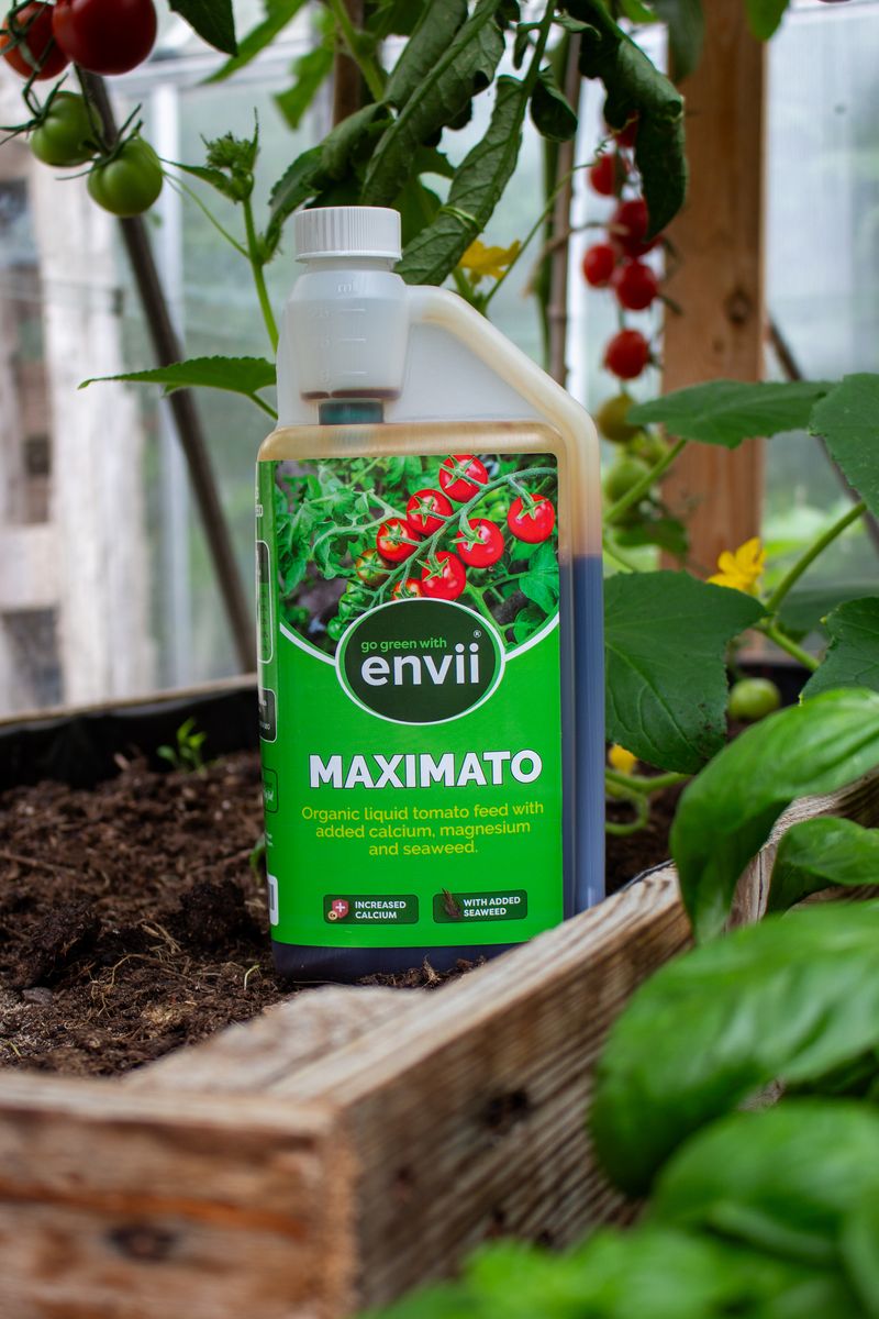 Envii Maximato