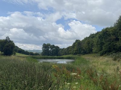 Whittington Lodge Farm 2.jpeg