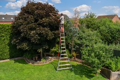 Henchman Fully-Adjustable Tripod PRO Ladders