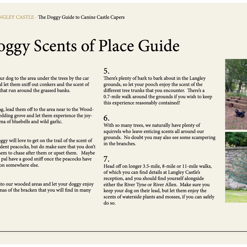 Doggy 'Scents of Place' guide - one of the pages in the Langley Castle 'Doggy Guide to Canine Castle Capers