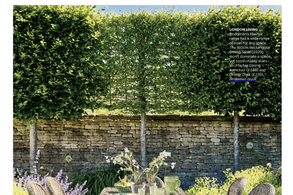 Screencapture of The English Garden