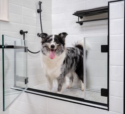 Velvet Paw Dog Shower