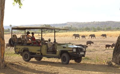 P_Asilia Lodges & Camps_Tanzania_Ruaha National Park_Jabali Private House_Activities_Game Drive_1.jpg