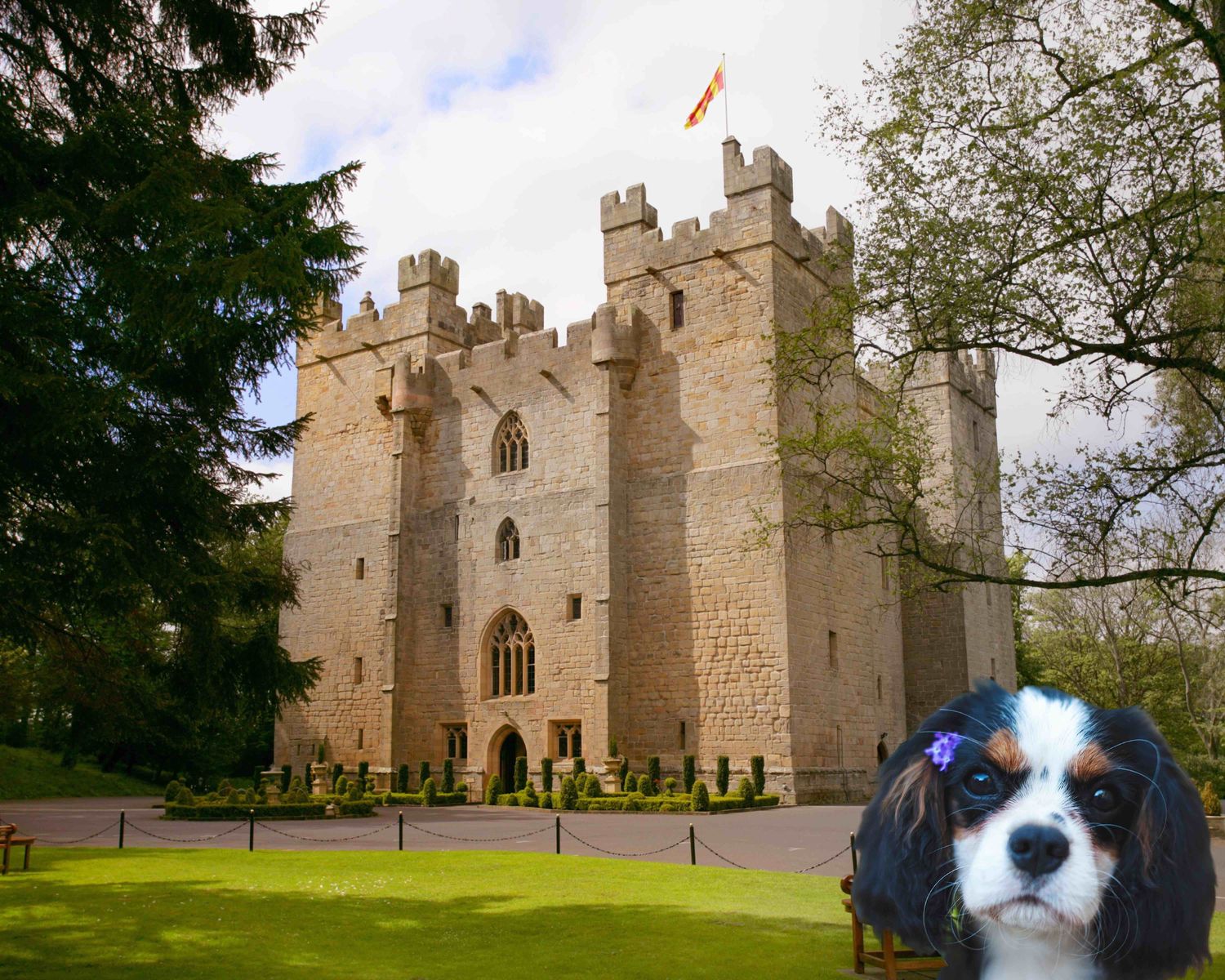Langley Castle and a Cavalier King Charles - one of the Crufts dog breeds that could enjoy a regal stay in 2023