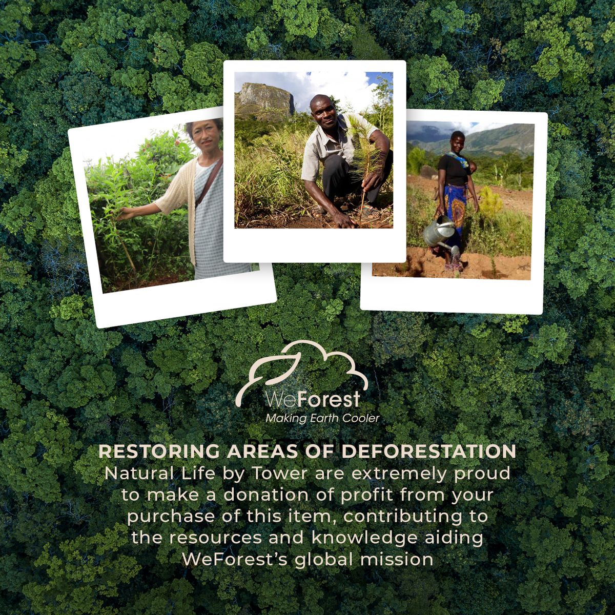 Natural Life WeForest Partnership.jpg