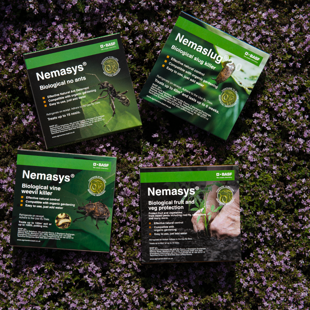Nemasys beneficial nematodes