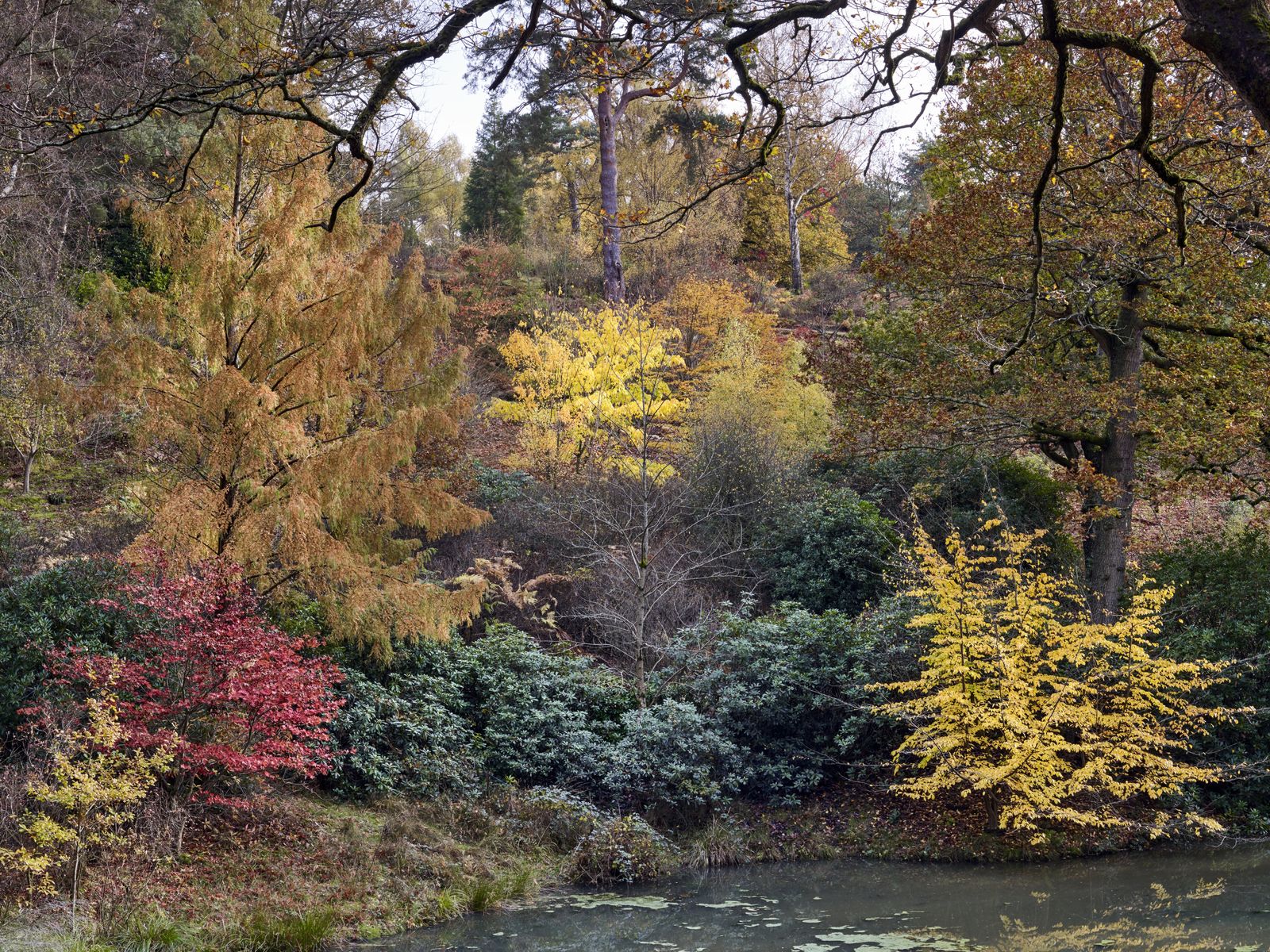 Credit Jason Ingram JI_061119_LeonardsleeGarden_153_copy.jpeg