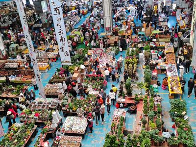 Dounan Flower Market  (3).jpg