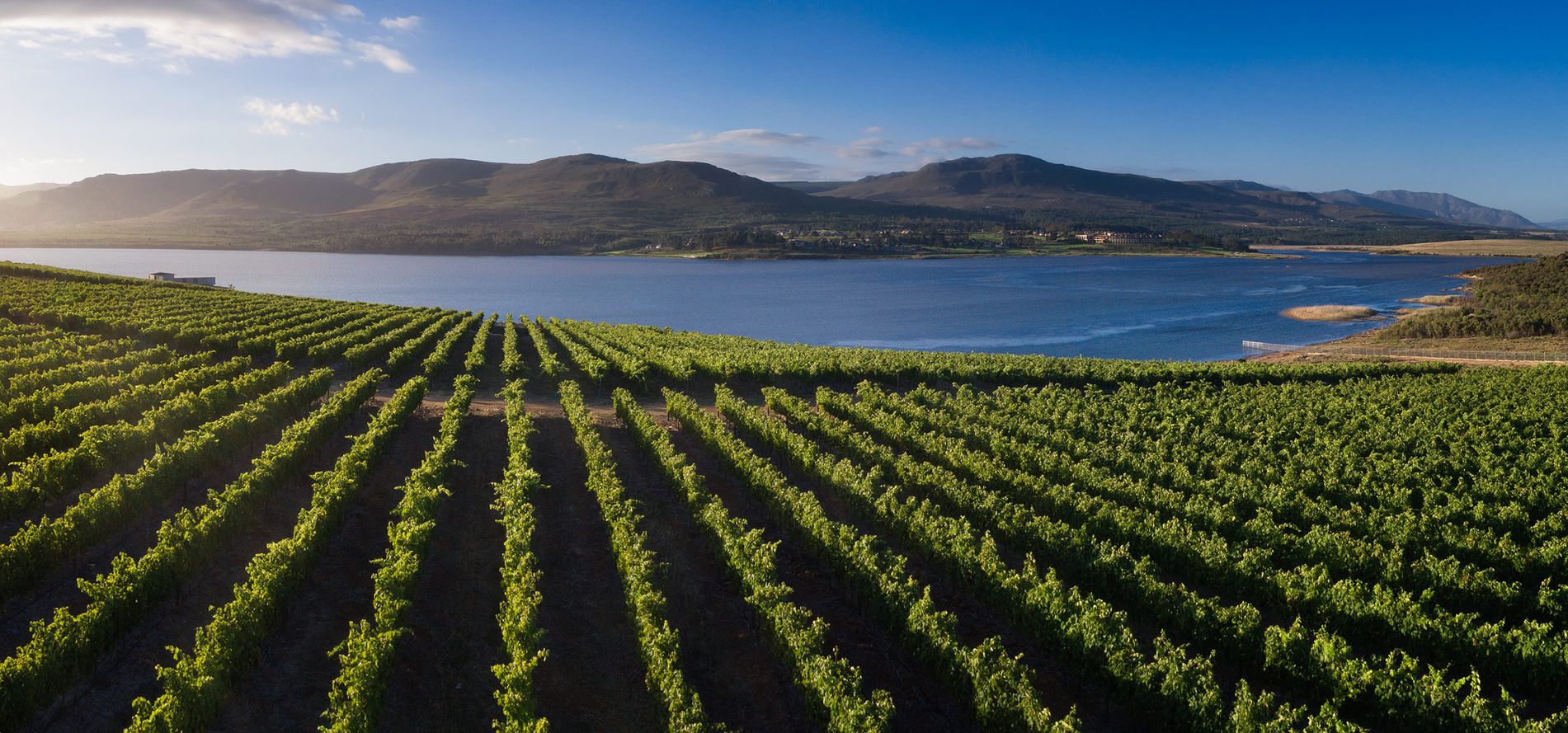 Benguela Cove Lagoon Estate x.jpg