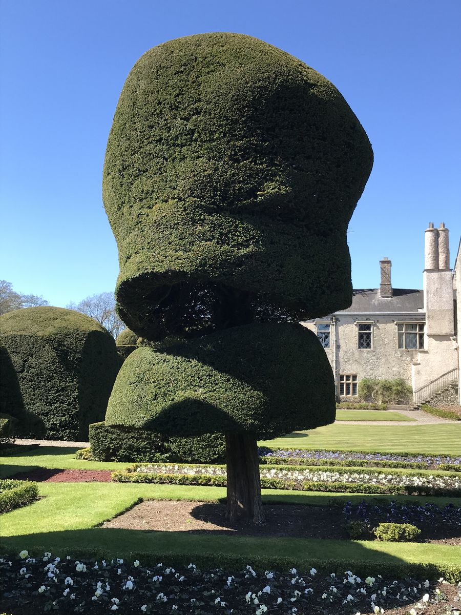 Topiary at Levens Hall, Cumbria, UK