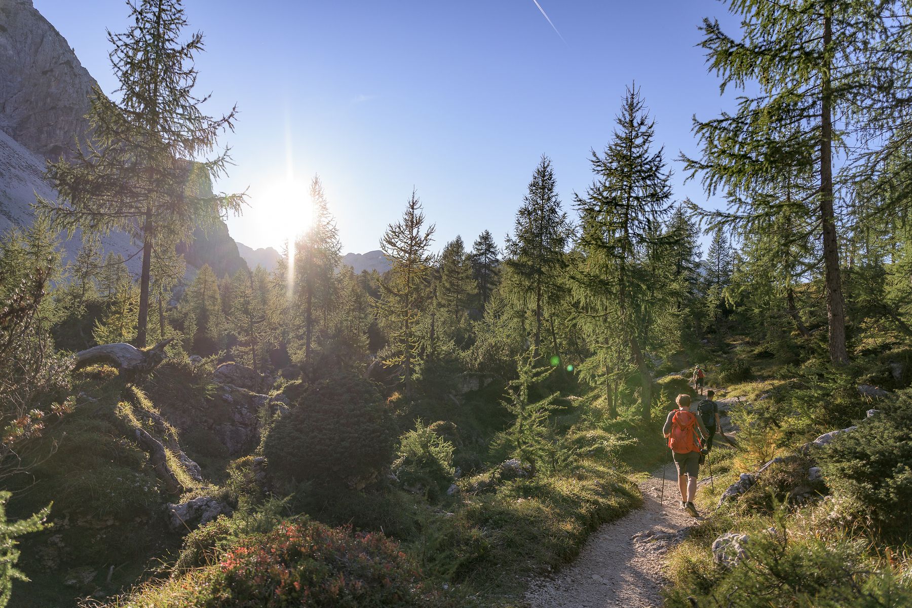 Juliana Trail