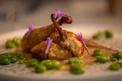 Poussin with Broad Beans and a Creamy Cepe Mushroom Sauce