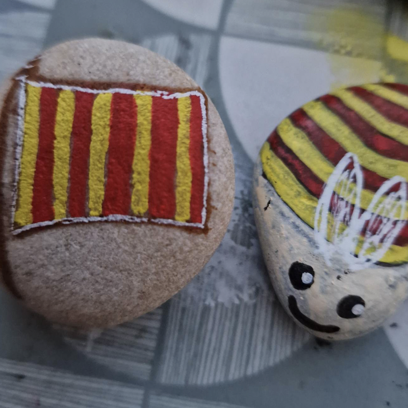 Some of the rocks painted for the Northumberland Day rock hunt at Northumberlandia