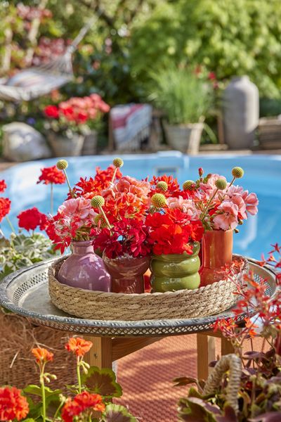 2024-Geraniums-4000-Exotic-Garden-Getaway-21-1.jpg