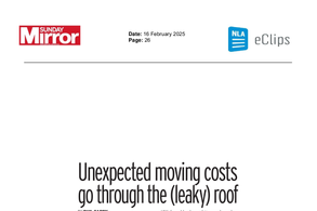 Screencapture of Sunday Mirror