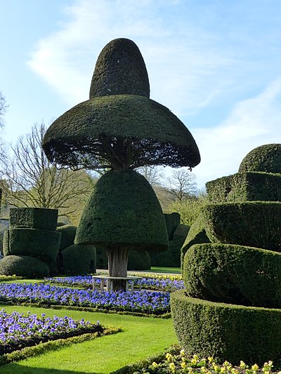 Topiary at Levens Hall, Cumbria, UK