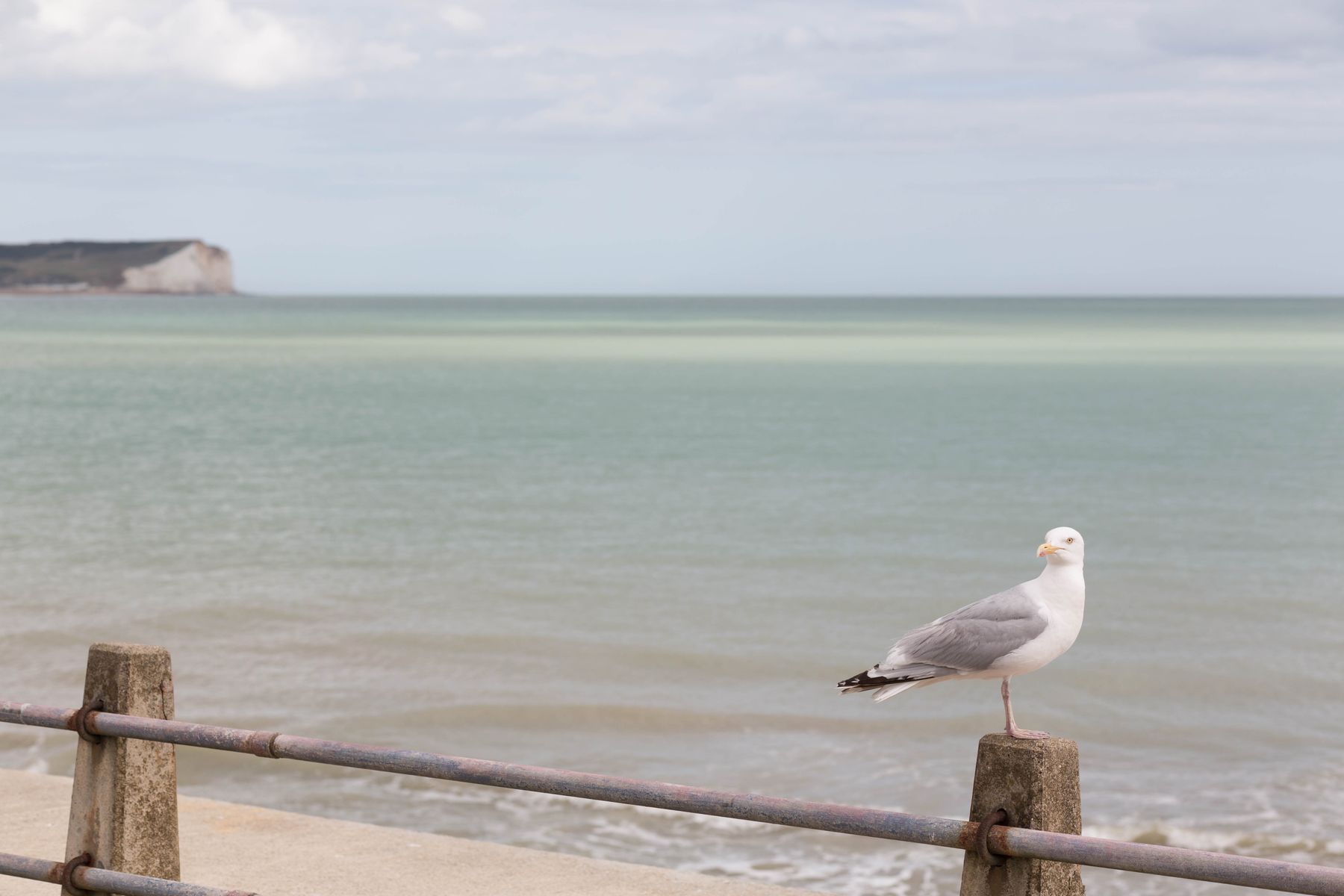 THPLsut_200706_Newhaven_2087.jpg
