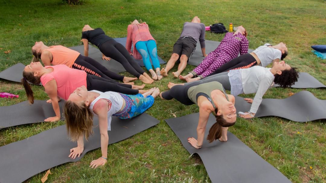 Wellness-Essary is a holistic wellness app and events platform 