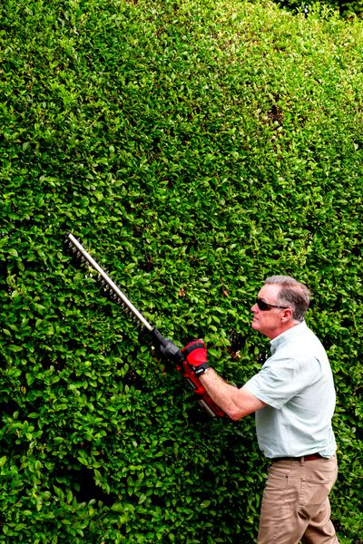 HT50LRH24V 2-in-1 Hedgetrimmer
