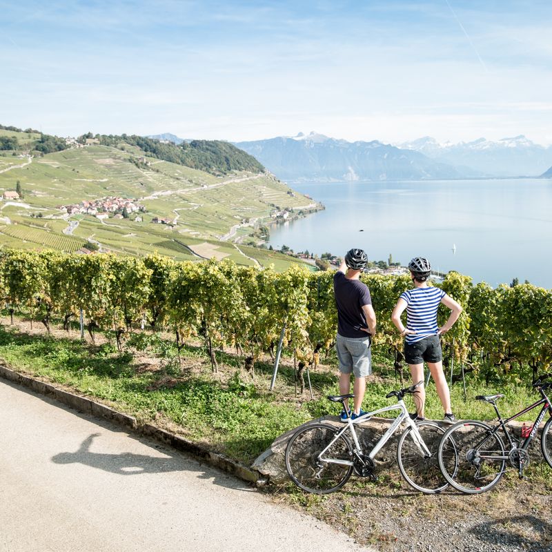 Cyclists take in view of Lake Geneva - Lausanne