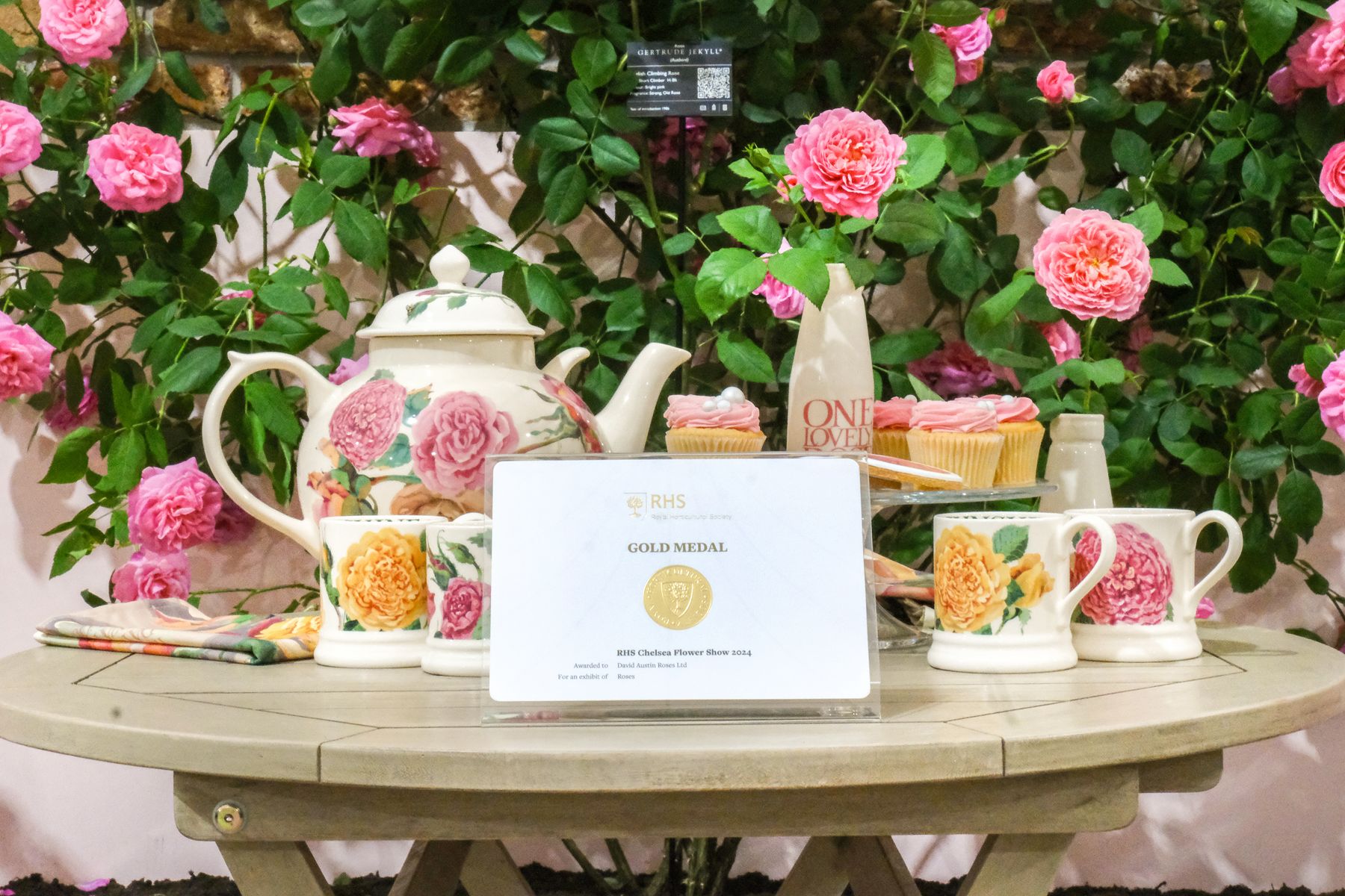 David Austin Roses - RHS Chelsea Flower Show 2024