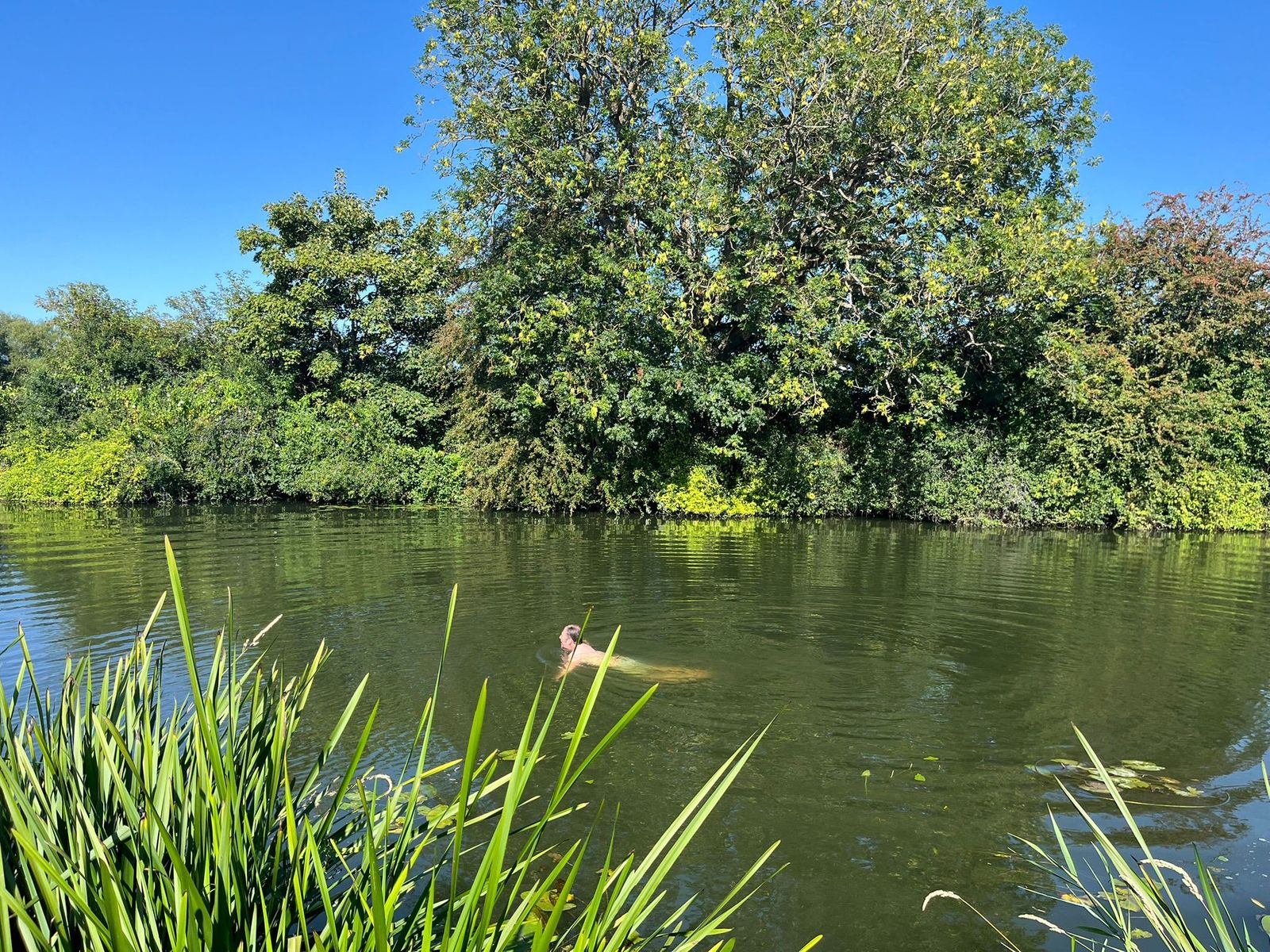 Wild Swimming.jpeg