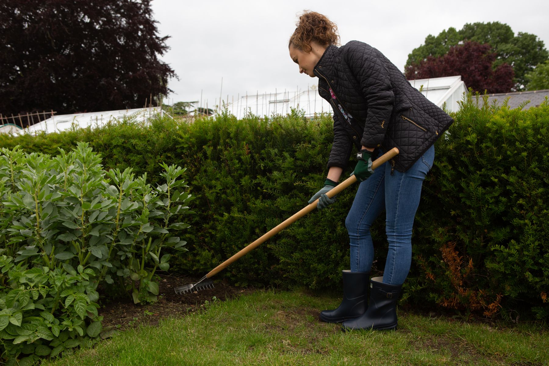 Stainless Steel Soil Rake