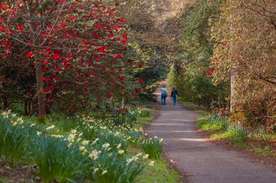 Westwood Valley at Wakehurst 