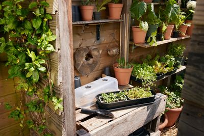 green basics seed tray
